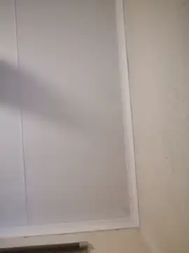 Pnice online show from 11.03.25