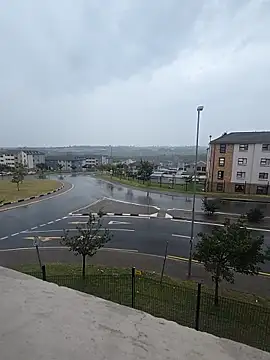 mojaymort online show from 04.17.26