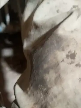 ParousFlow online show from 10.15.25