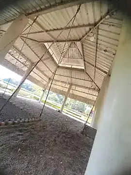 Desi Horny Boys online show from 10.21.25