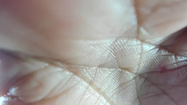 Mindy 19 online show from 12.18.25