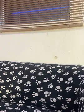 cody fox10 online show from 04.14.26