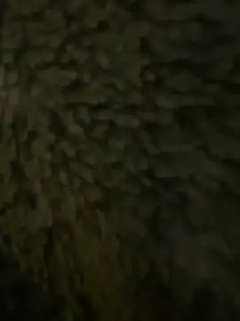 anonimgirl18old online show from 02.21.26