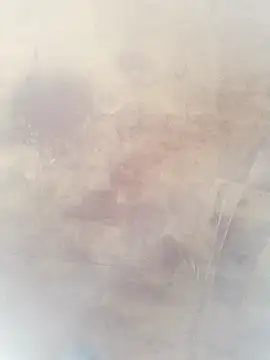 0023doja online show from 10.10.25