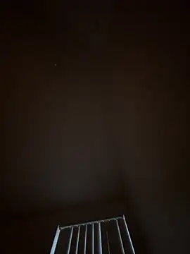 julio p online show from 02.14.26