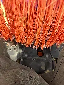 Telugu person12 online show from 01.12.26