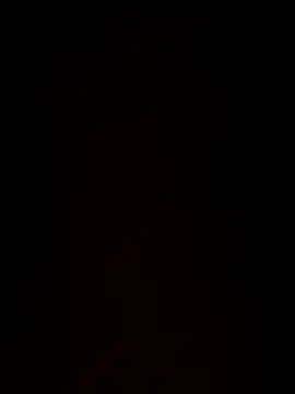 paigeycakes online show from 10.11.25