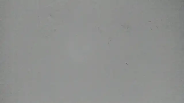 Sophia Ebony online show from 03.13.26