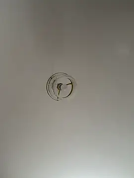 Desire-XOXOX online show from 09.10.25