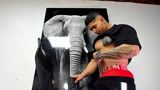 king falconer online show from 10.31.25