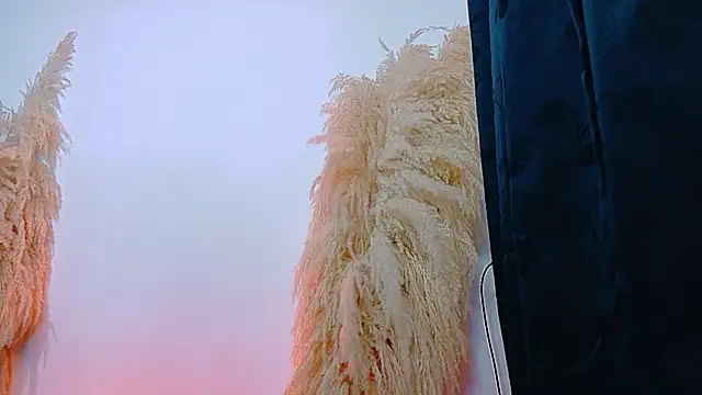 JulietaDavis online show from 02.22.26