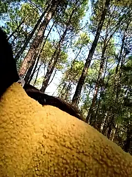 chengcheng12 online show from 11.25.25