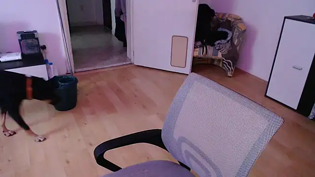 Aliens4twenty online show from 09.25.25