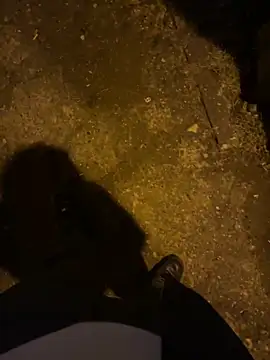 Mbidee online show from 02.11.26