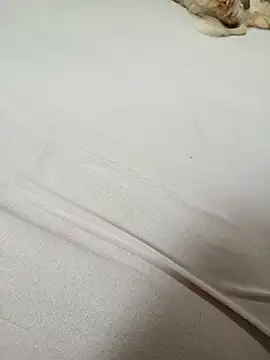 SIGILOCUIABA online show from 01.17.26