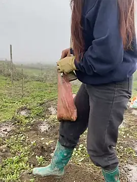 isaaa5 online show from 03.17.26