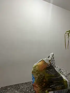 megan bigboobs  online show from 09.14.25