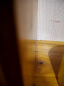 daisylouis online show from 04.21.26