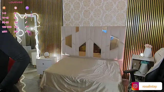 Snapshot of Rosalind_tay chatting on 10.03.25 Rosalind tay online show from 10.03.25