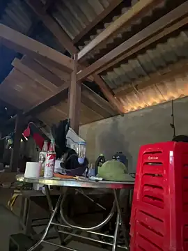 ThiHa003 online show from 01.18.26