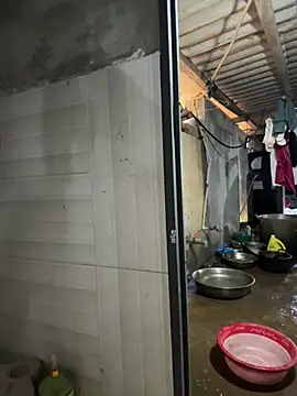 ThiHa003 online show from 04.01.26