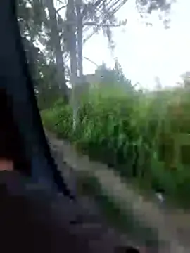 jeff pepoer online show from 02.07.26