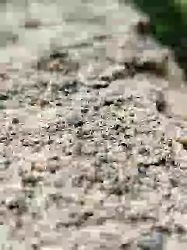 Girls pussy rider online show from 09.14.25