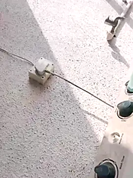 Wet BunnyFun online show from 11.27.25