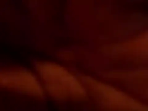 TRANSPORNIDOL online show from 11.22.25