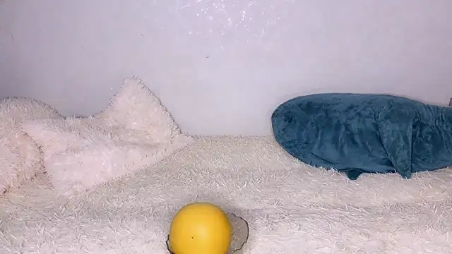 LustRaiderz1 online show from 10.14.25