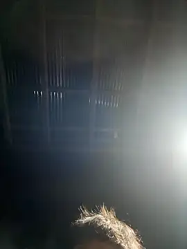 usu0130 online show from 10.16.25