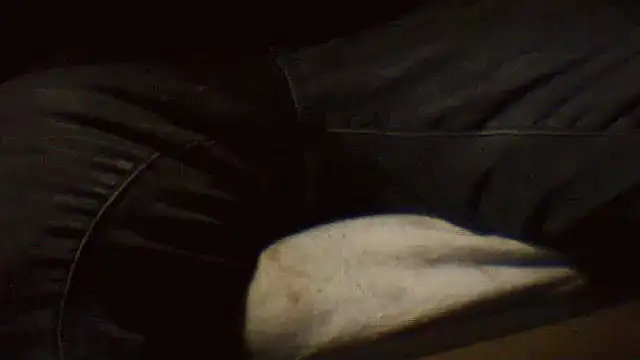 pietje1991 online show from 03.25.26