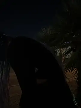 TranSexualJade95 online show from 11.01.25