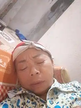 VangLe73 online show from 10.11.25