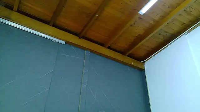 ALANNFERRER online show from 01.13.26