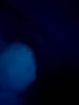 treefrog2025 online show from 09.17.25