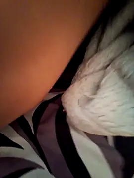 BooingCabalist online show from 03.10.26