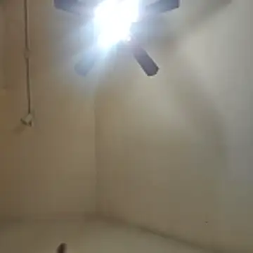 Tclarke93 online show from 11.12.25