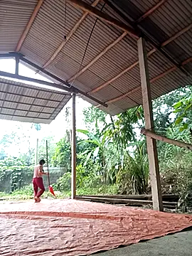 NG N online show from 11.17.25