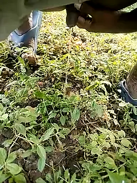 BlackhorseBBC online show from 10.14.25