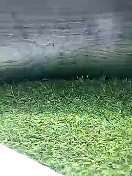 BlackhorseBBC online show from 03.26.26