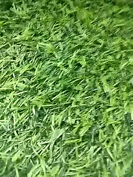 BlackhorseBBC online show from 04.12.26