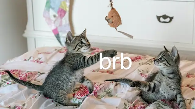 Snapshot of Pink_girl0n chatting on 11.17.25 Pink girl0n online show from 11.17.25