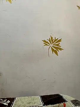 modelnishu online show from 10.17.25