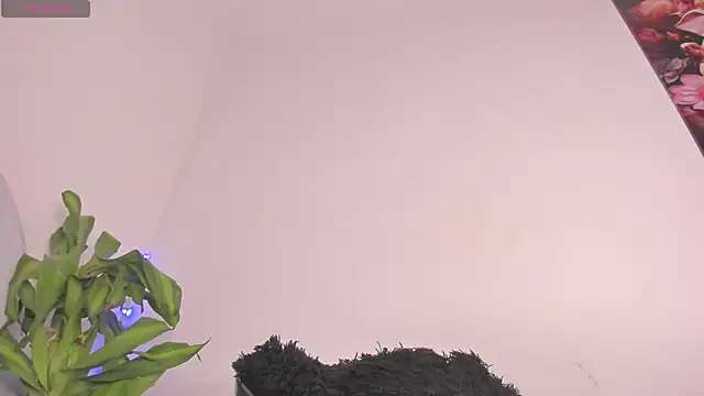 Lucy shen  online show from 11.15.25