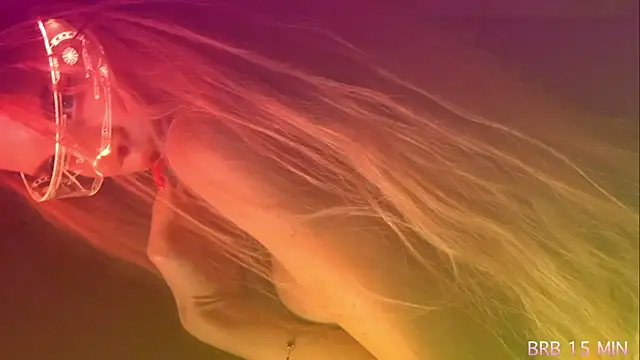 Alvuwkaa online show from 04.07.26