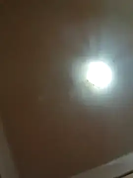 alexpo27 online show from 12.22.25