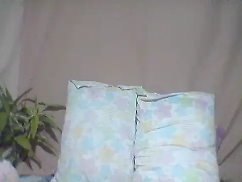 Snapshot of 66pineapple chatting on 10.08.25 66pineapple online show from 10.08.25