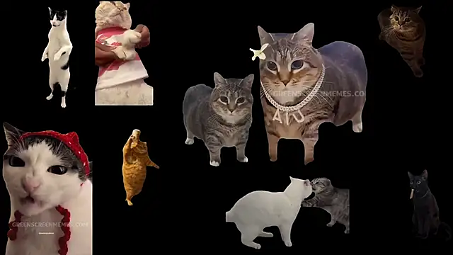 Snapshot of ch0wn_m chatting on 10.24.25 ch0wn m online show from 10.24.25