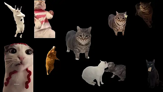 Snapshot of ch0wn_m chatting on 11.14.25 ch0wn m online show from 11.14.25